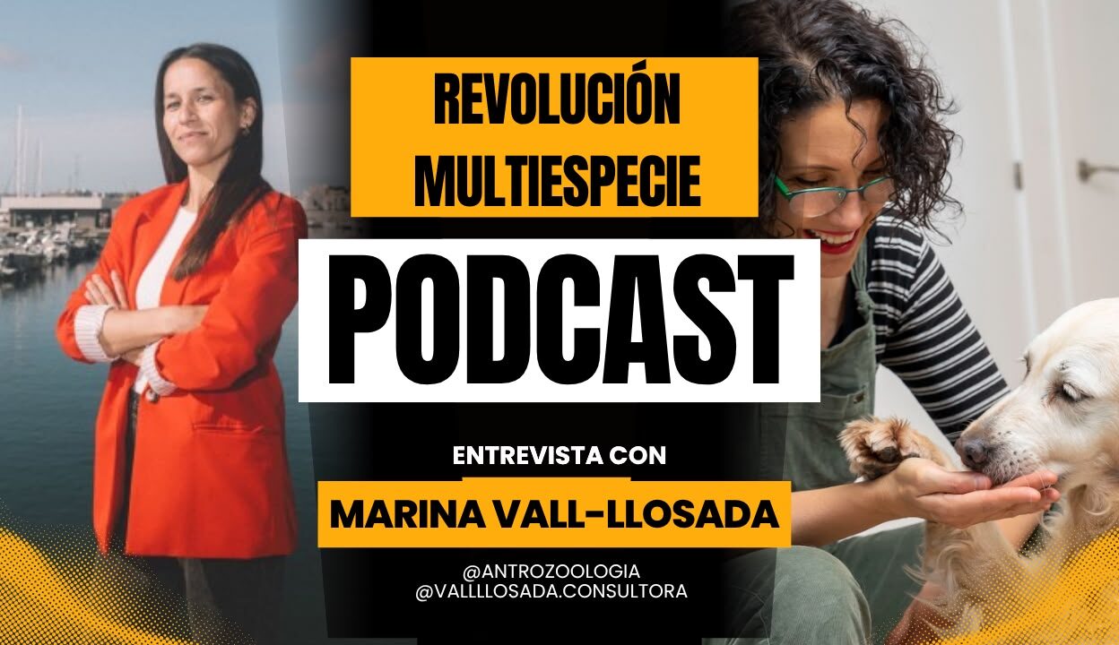 Famílies multiespècie i convivència veïnal: Parlem amb la Dra. Paula Calvo